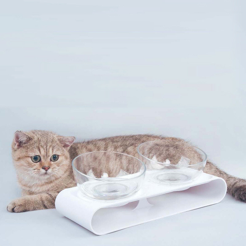 Ciotola per gatti per alleviare la stanchezza da baffi Ciotole per animali da compagnia per cibo e acqua Set di 2